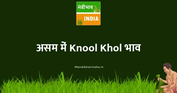 Knool Khol भाव